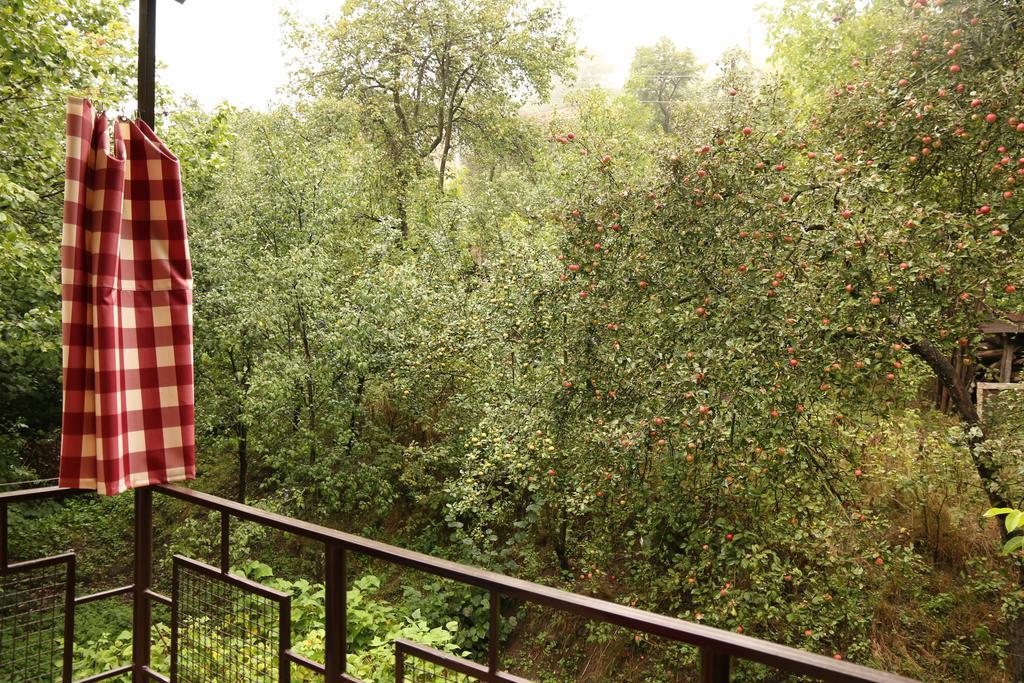 Dilbo House Otel Dilican Dış mekan fotoğraf